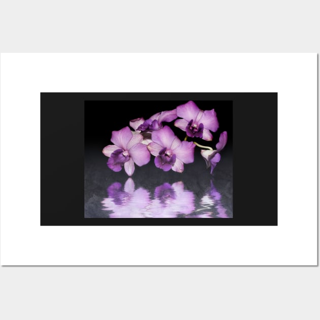 Purple Orchid Wall Art by CPAULFELL